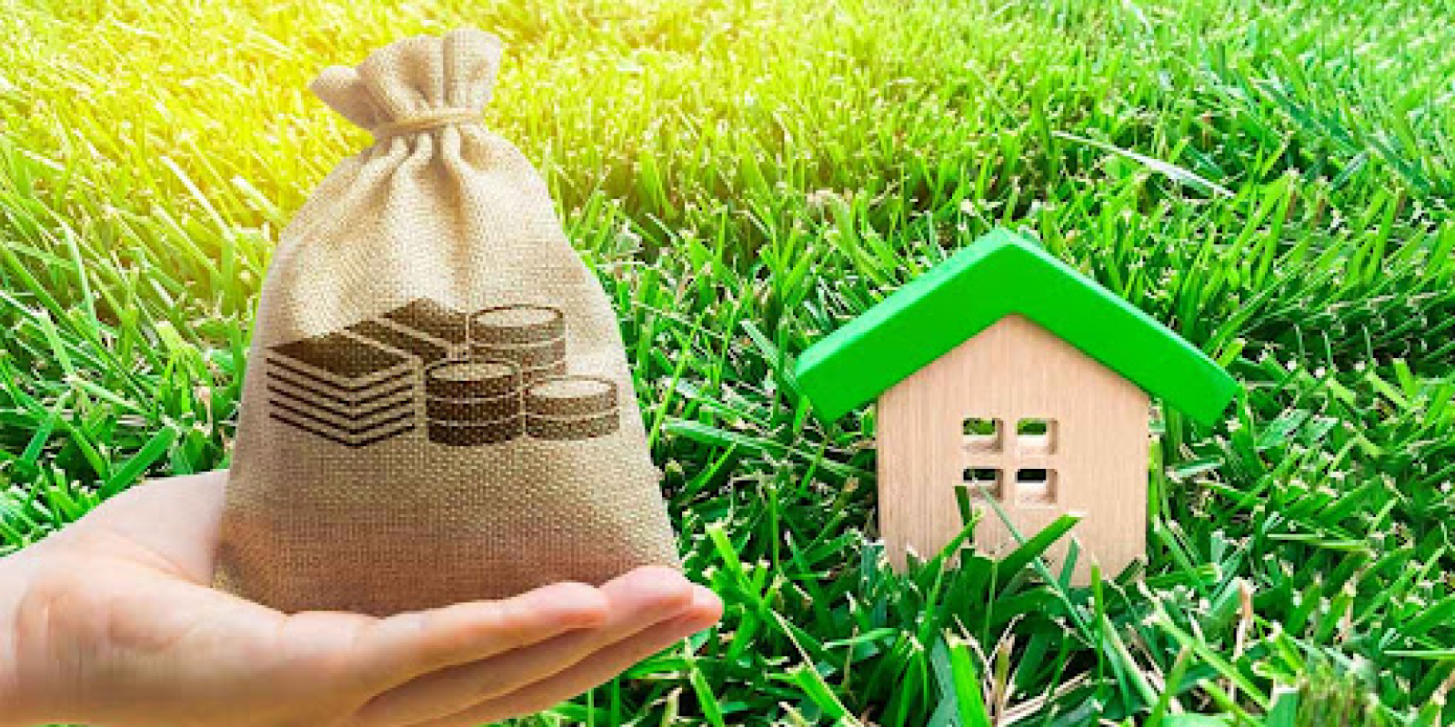 Plot Loan